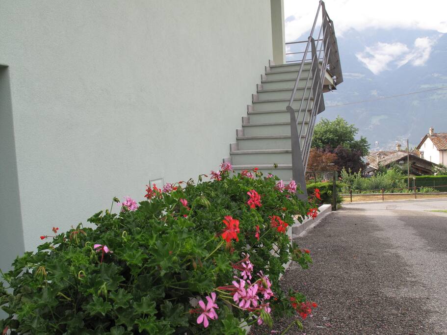 Scala d'ingresso