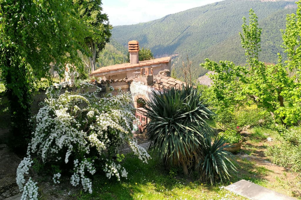 Outdoor wood furnace