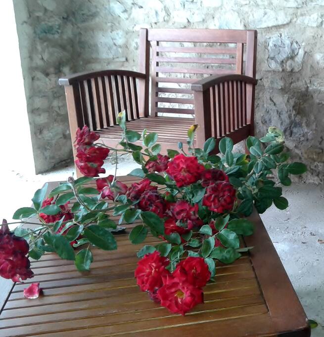 Il portico con le potature delle rose
