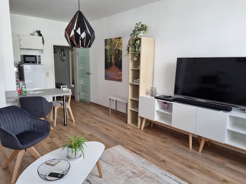 Successful Airbnb property: Beautiful flat for students, work or travellers in Gera