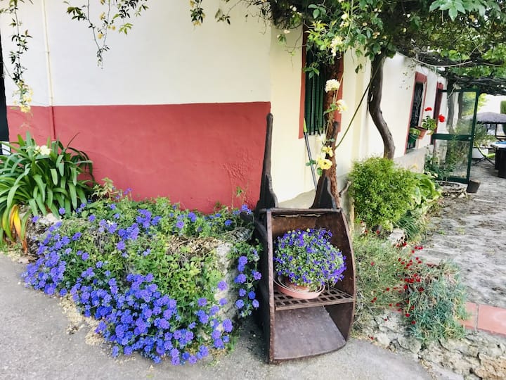 Casa Rural La Toma - Ronda