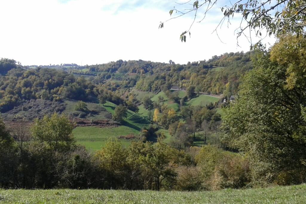 Les collines d'Aubin comme écrin.