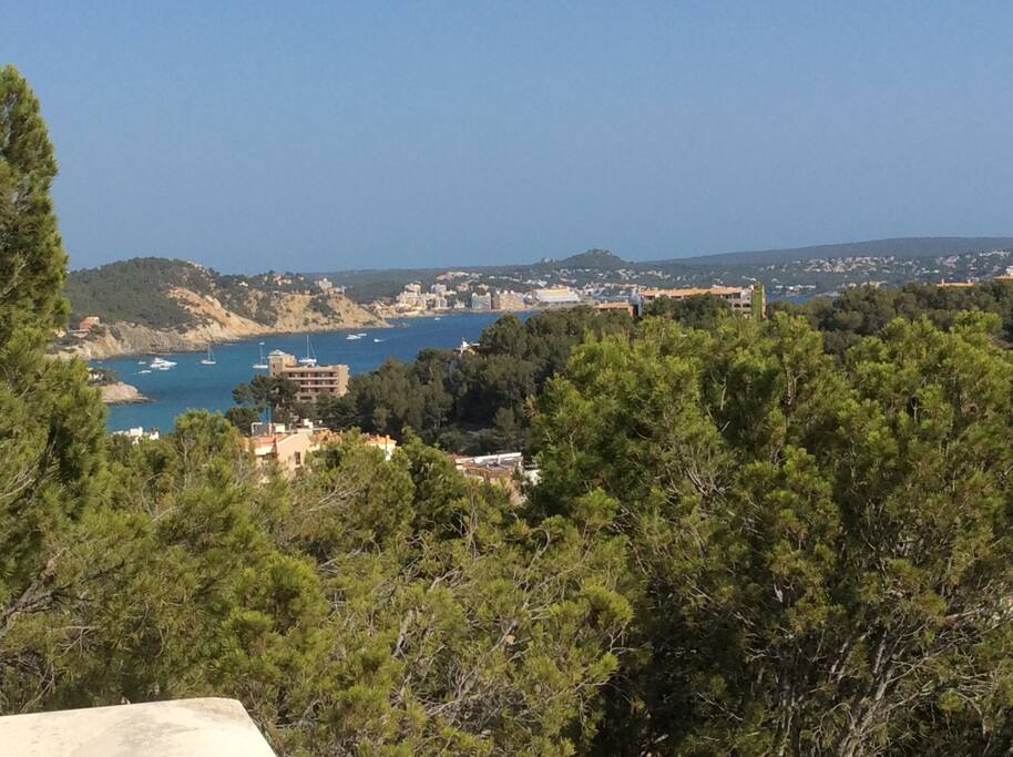Blick zur Bucht von Paguera