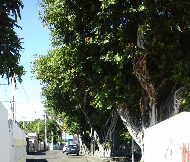 La rue du village