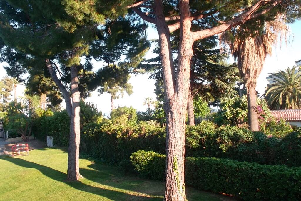 VUE COTE JARDIN