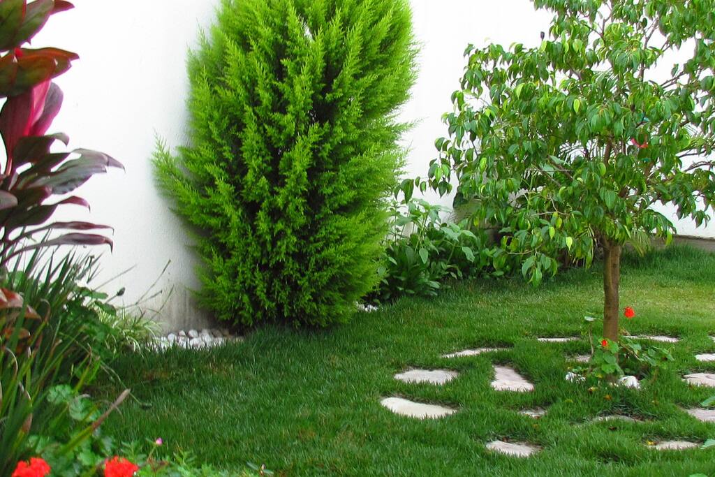 Jardim