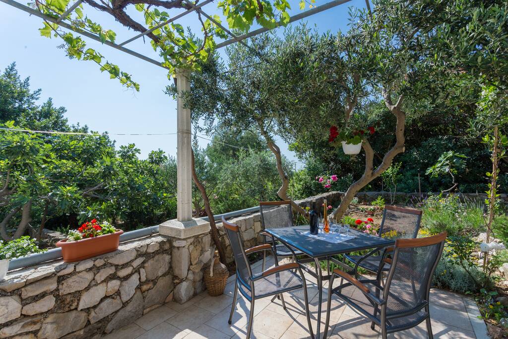 Terrace with Homemade Natural Wine and Fruit Liquor