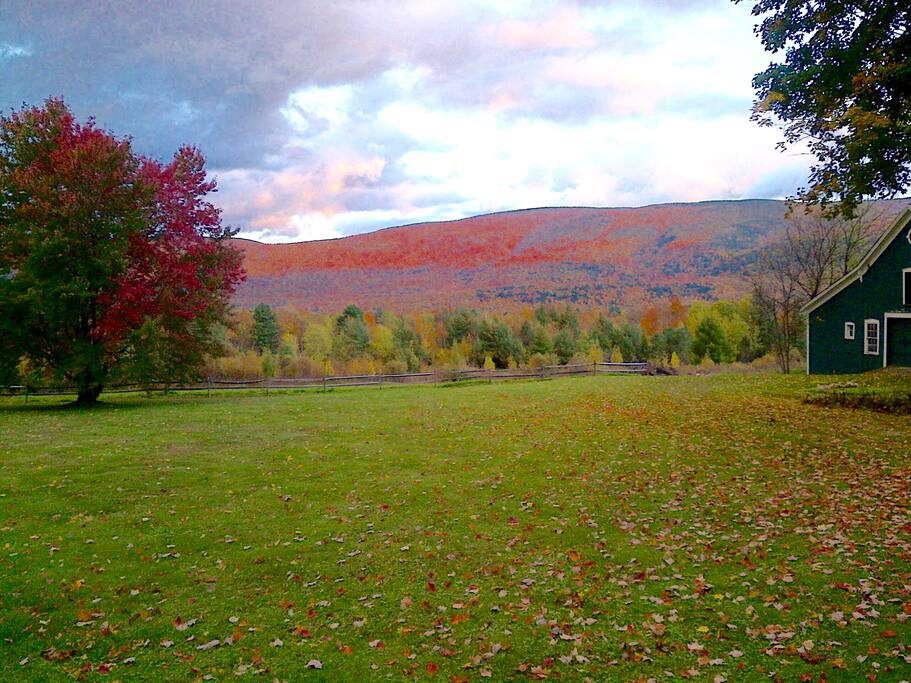 Back porch view