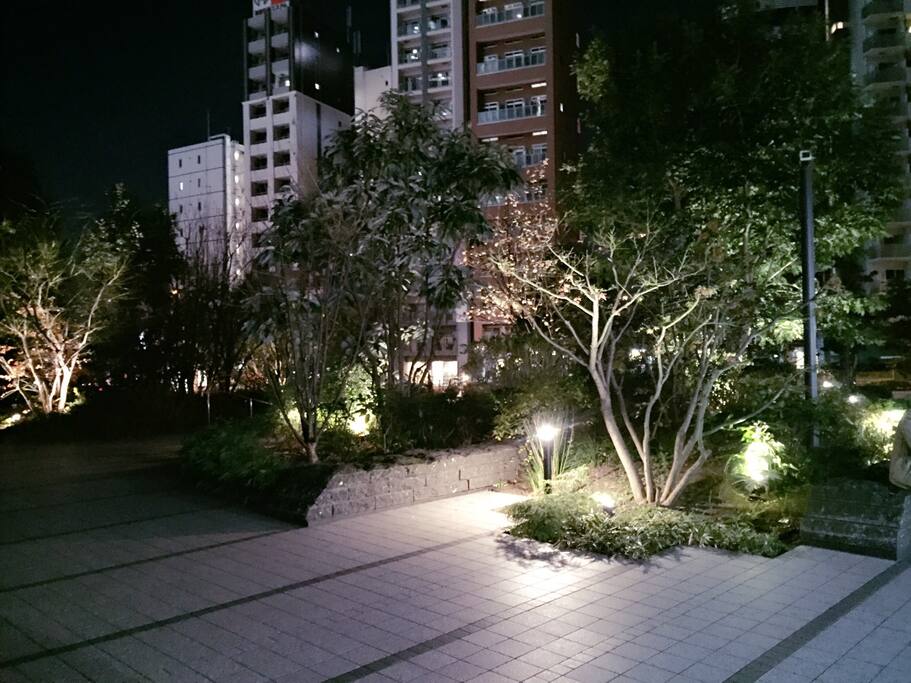 家门口的夜景