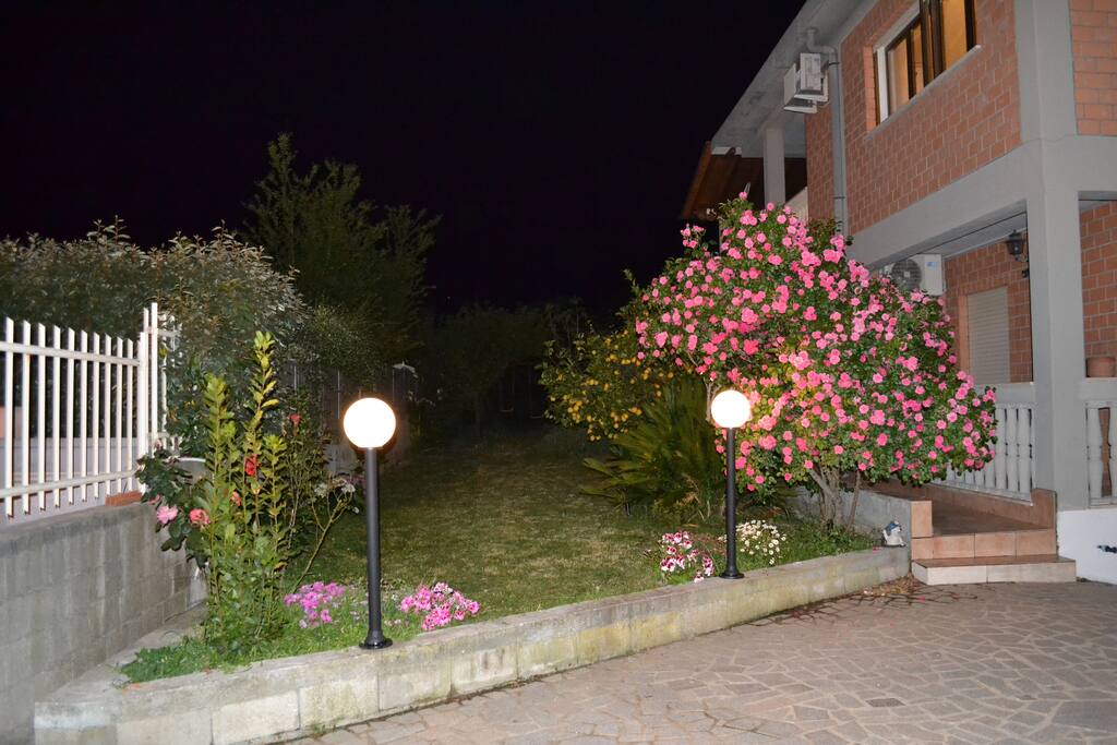 by night