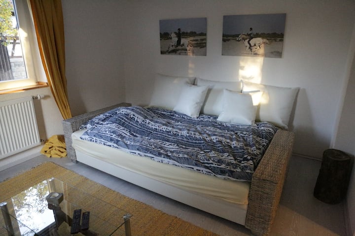 客厅有沙发床1楼