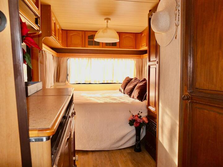 אפשרות חדר שינה בחדר גדול 