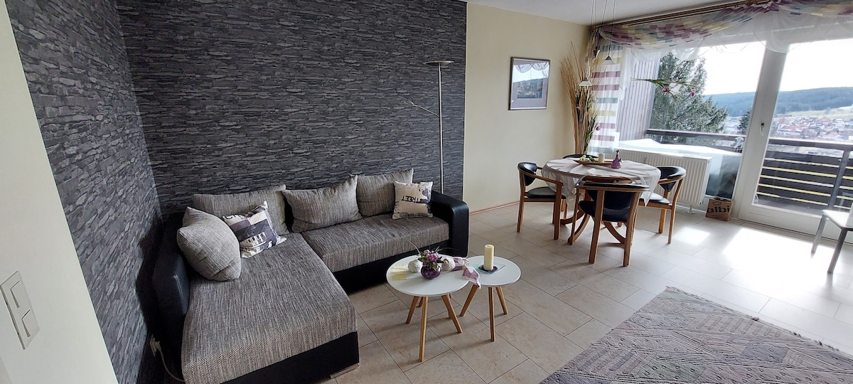 Proprietà Airbnb di successo: Beautiful view
Indoor swimming pool a Schonach Im Schwarzwald