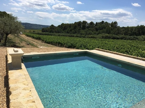 In Provence Near Mt Ventoux