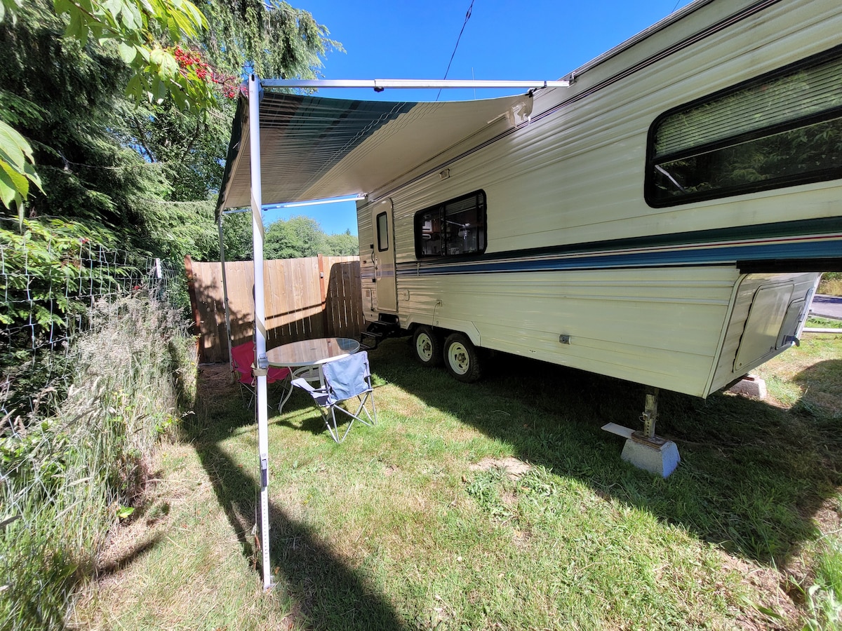 Cabin And House Vacation Rentals In Kalaloch Airbnb