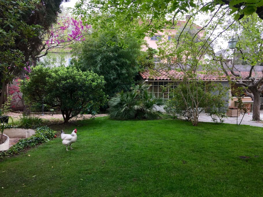 Dans le jardin il fait toujours frais, même en plein été.