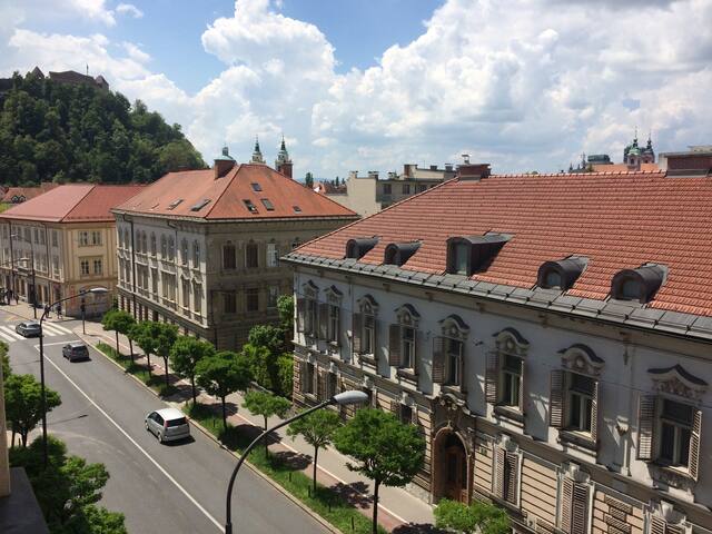 Center of Ljubljana (best location) w/ Great View