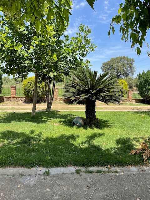 Mama’s Sunshine Garden Villa