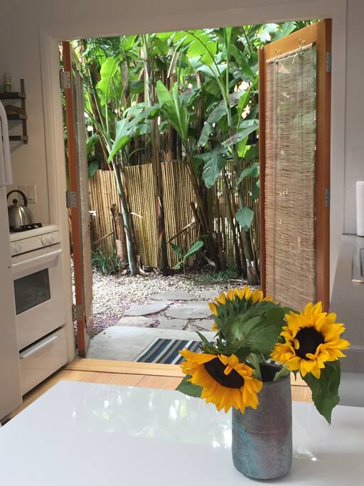 Inside looking out... enjoy the Tropical Splendor