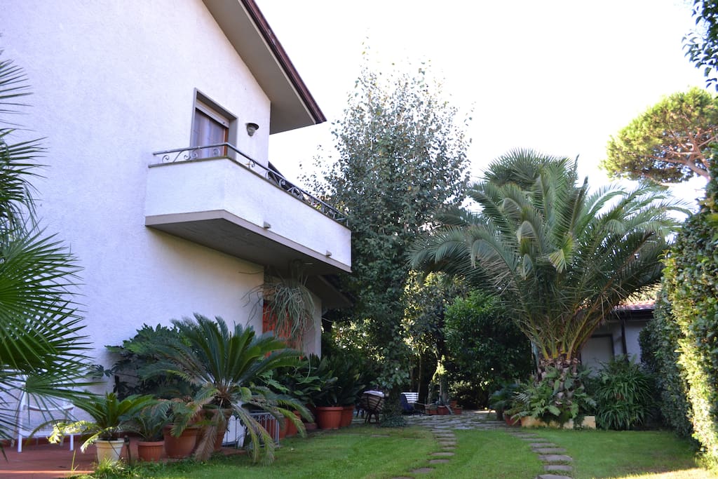 The house from the side