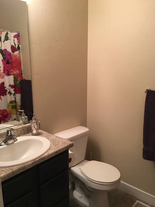 Private bathroom off bedroom and hall