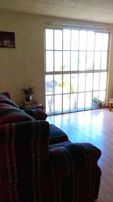 Seccion Apartment Rent Seccion Apartment Rent