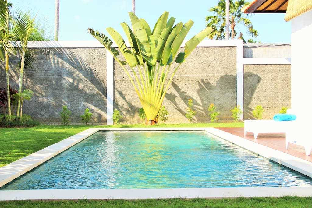 Pool & Garden