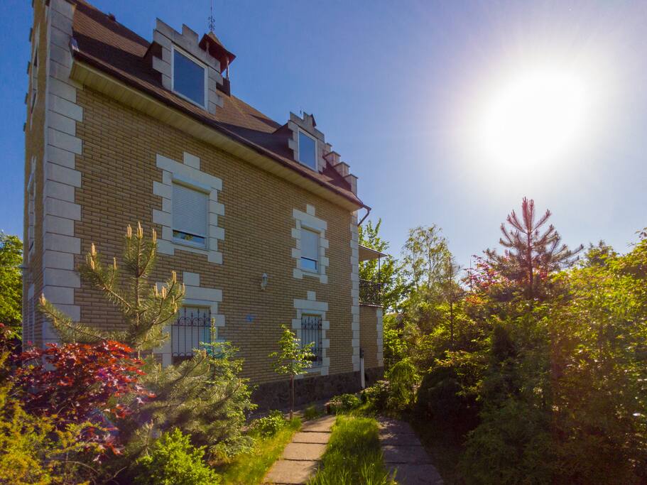 View from garden