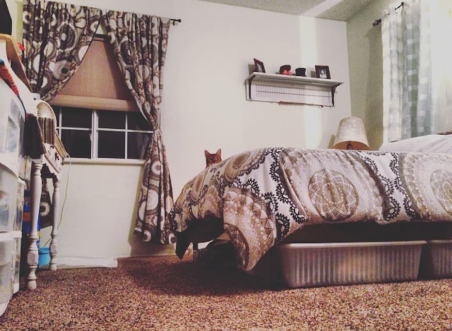 Room 1- Full size Comfy Queen