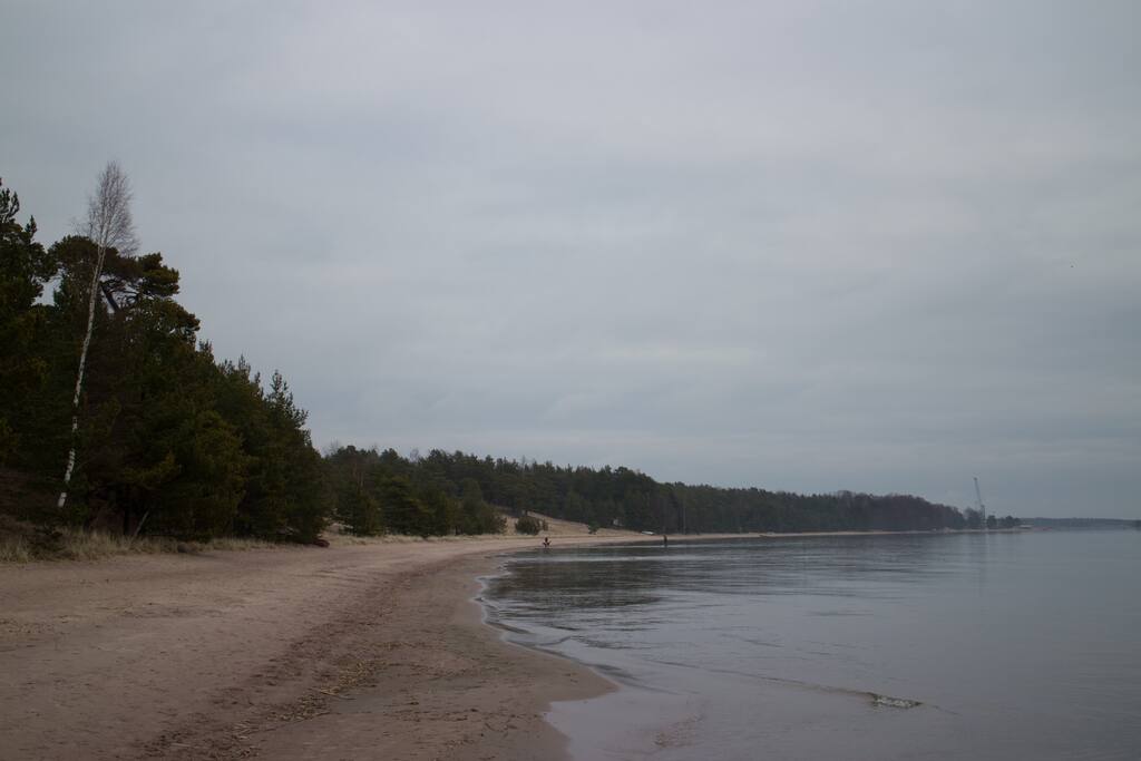Another snapshot of the beach.