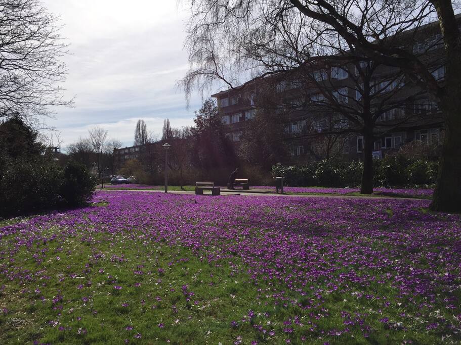 Luxury of having a beautiful park right out of the door
