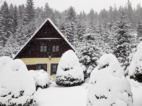 Family cottage “Bohunka” in beautiful Donovaly