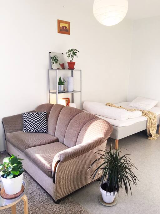 Comfy Couch