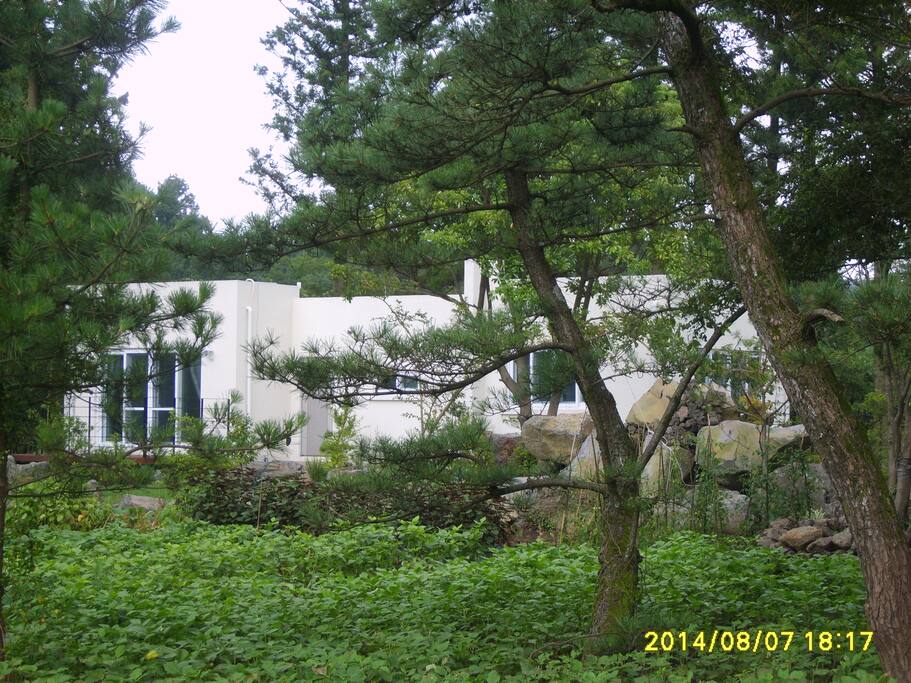 숲속에 둘러싸인 숙소 모습