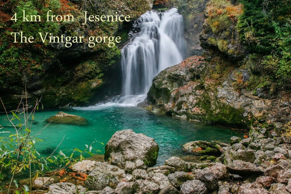 Worlds famous Vintgar gorge just 4 km from our house