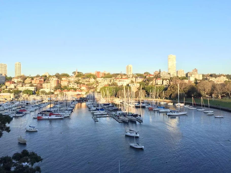 Rushcutters Bay view from apartment