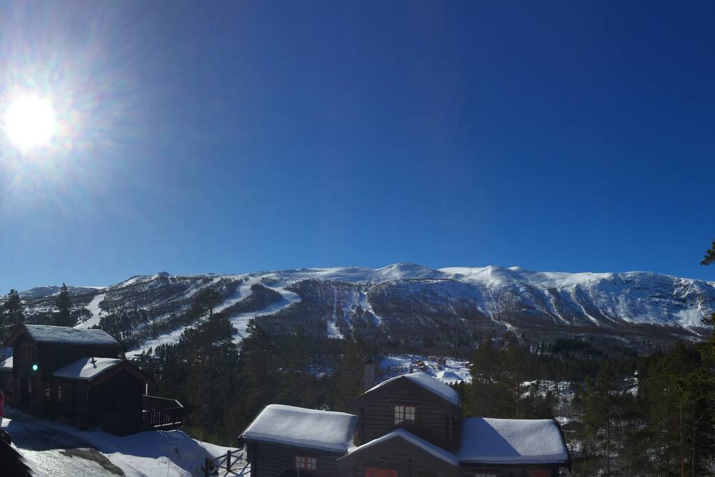 Wiew from the cabin