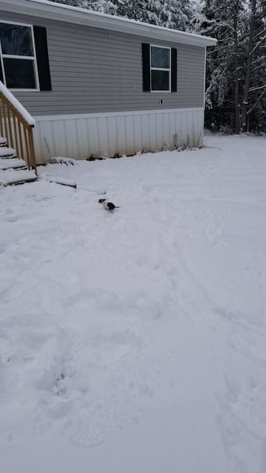 this is our big yard when it snowed last year