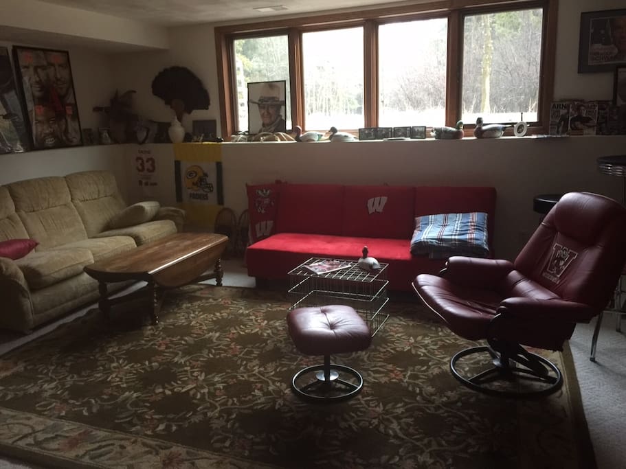 Basement Living Area