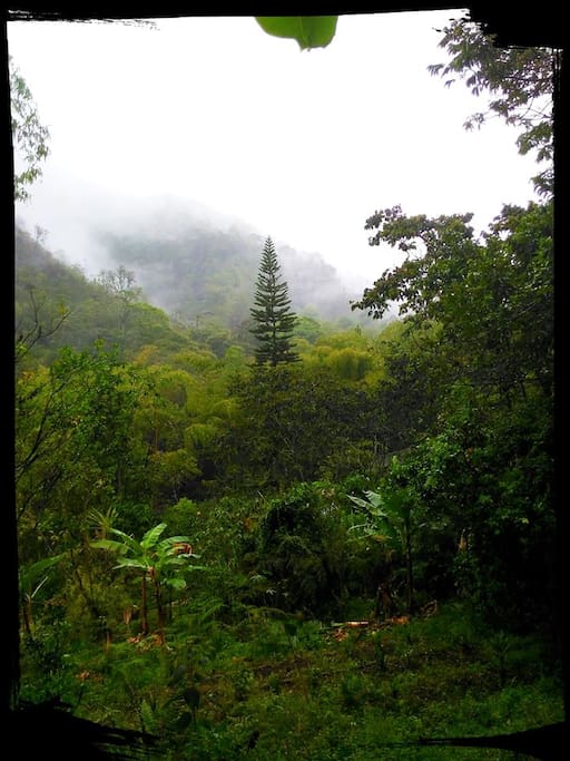 Un paisaje desde el Encanto.