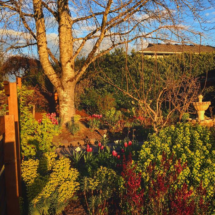 Front yard