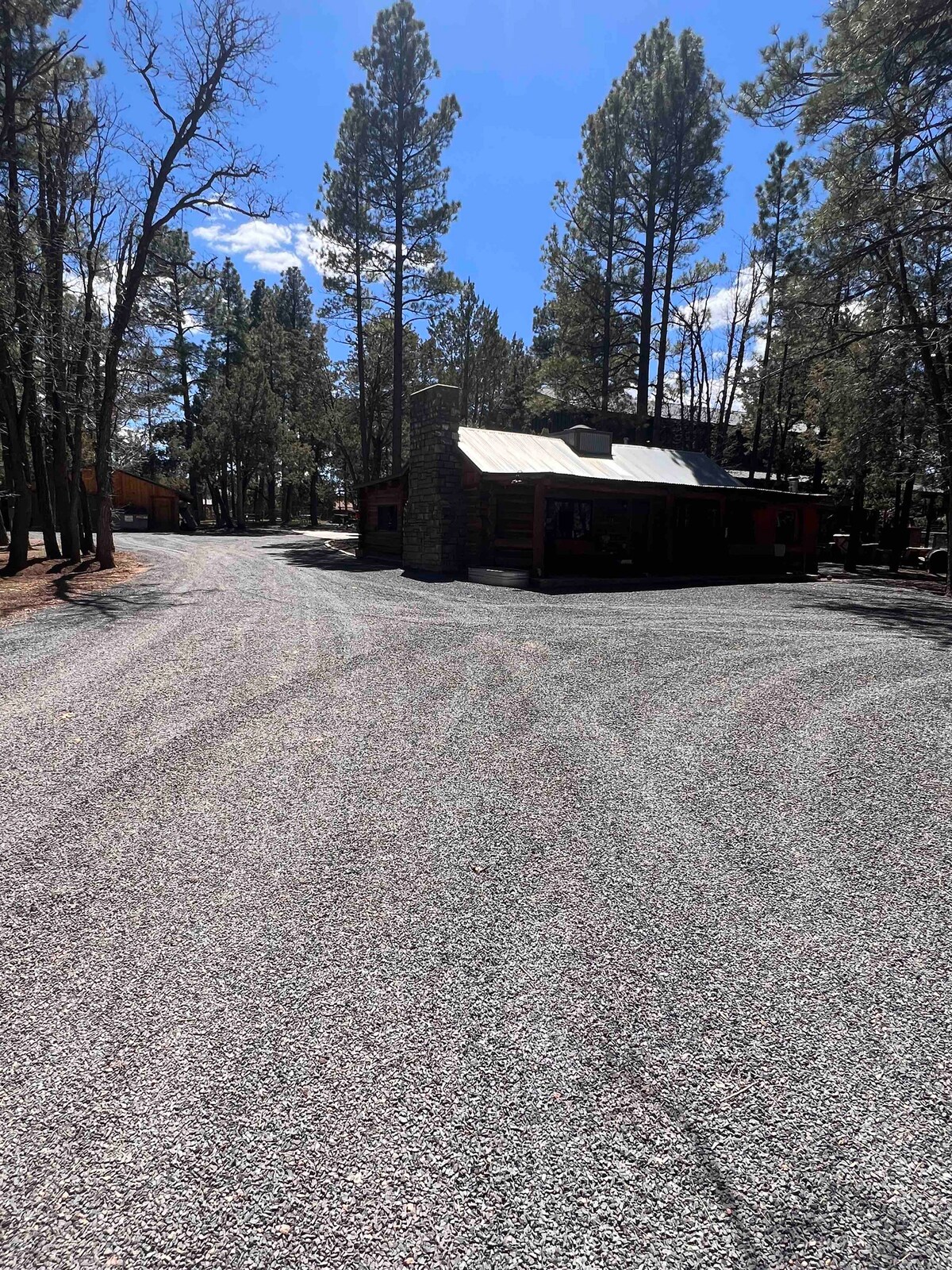 Real Log Cabin nestled in the pines. Fenced yard. - Cabins for