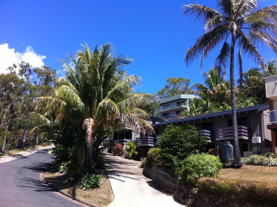 Airlie Beach Motor Lodge