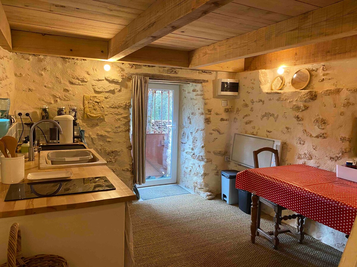 Airbnb performant: Jas du Pin, small stone shed. à Bonnieux