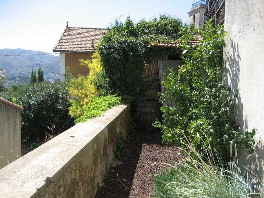 Plein sud, terrasse 1