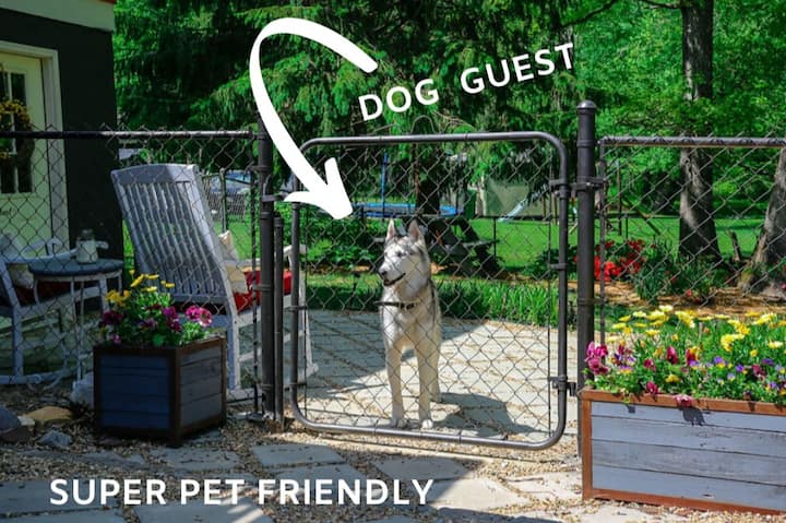 Houz Zen: A Pet Friendly Private Suite