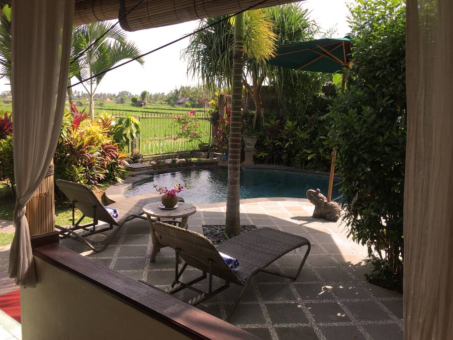 Pool loungers, umbrella and views one the rice fields