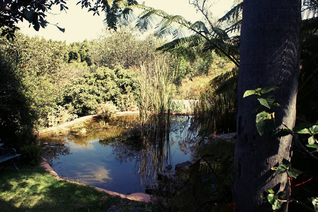 Pond terrace in the house garden