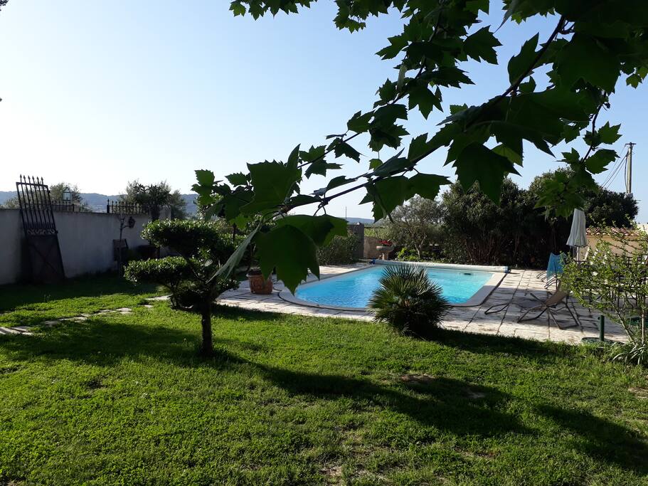 La piscine au petit matin, 8h00.