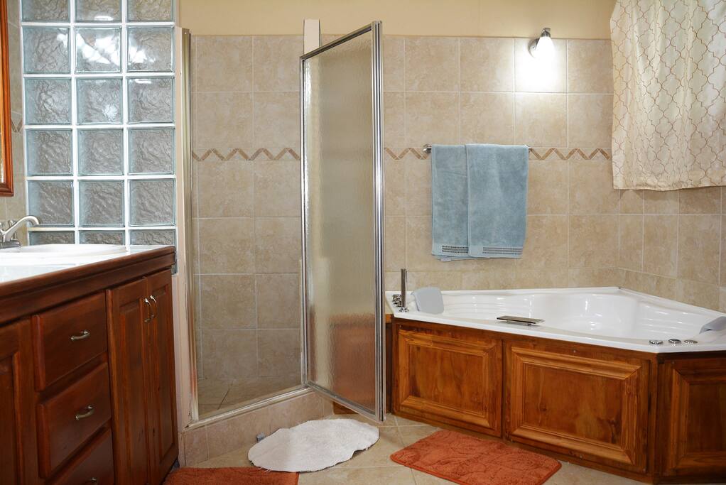 Master bathroom